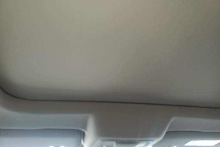 Used Haval DARGO 2021 1.5T DCT Two-Wheel Drive Border Collie Edition Headliner