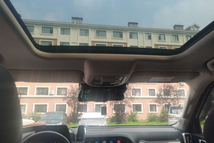 Used Haval DARGO 2021 1.5T DCT Two-Wheel Drive Border Collie Edition Headliner