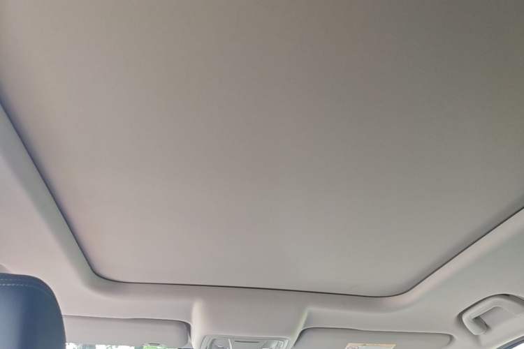 Used Haval DARGO 2021 2.0T DCT 4x4 Chinese Rural Dog Edition Headliner