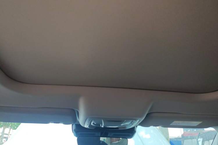 Used Haval DARGO 2021 1.5T DCT Two-Wheel Drive Border Collie Edition Headliner