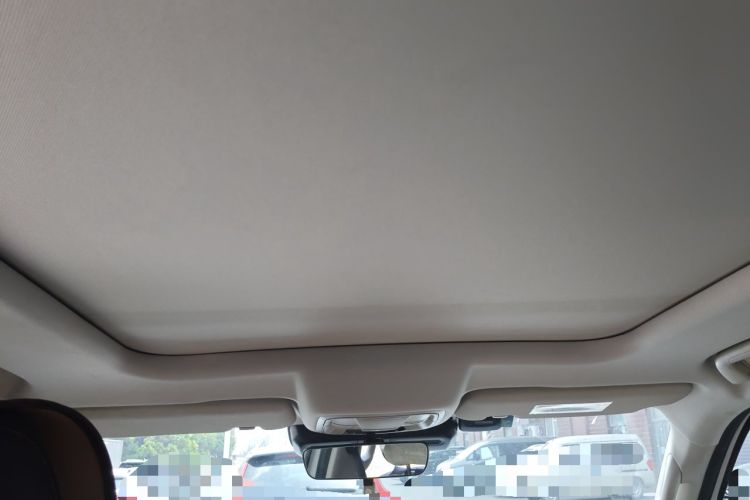 Used Haval DARGO 2021 2.0T DCT 4x4 Chinese Rural Dog Edition Headliner