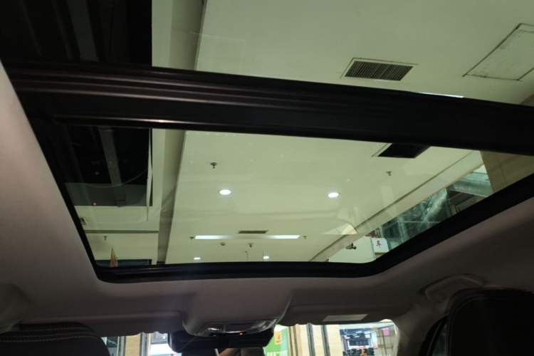 Used Haval DARGO 2021 1.5T DCT Two-Wheel Drive Border Collie - Wangcai Edition Headliner