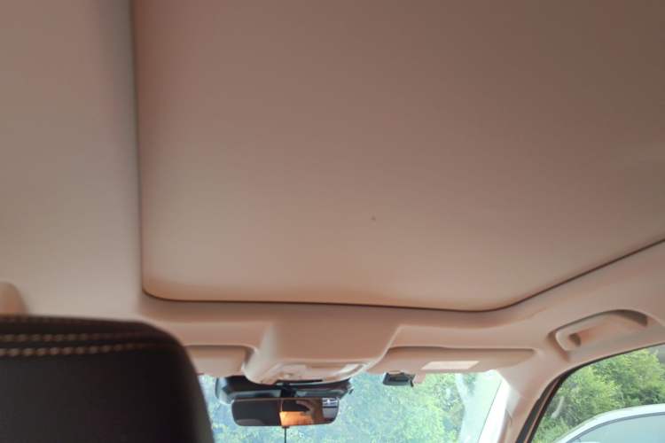 Used Haval DARGO 2021 1.5T DCT Two-Wheel Drive Border Collie Edition Headliner