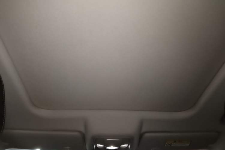 Used Haval DARGO 2021 Revised Version 2.0T DCT Four-Wheel Drive "Hao Tian Que" Edition Headliner