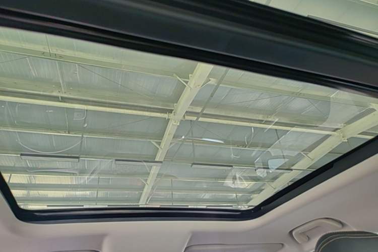 Used Haval DARGO 2021 2.0T DCT 4x4 Chinese Rural Dog Edition Headliner
