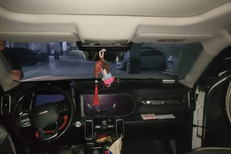 Used Haval DARGO 2021 1.5T DCT Two-Wheel Drive Labrador Edition Headliner