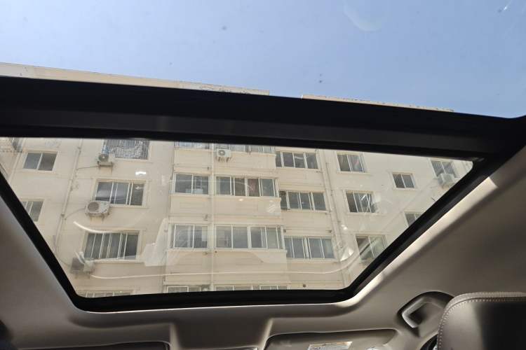 Used Haval DARGO 2021 1.5T DCT Two-Wheel Drive Border Collie Edition Headliner
