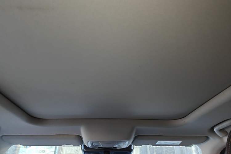Used Haval DARGO 2021 1.5T DCT Two-Wheel Drive Labrador Edition Headliner
