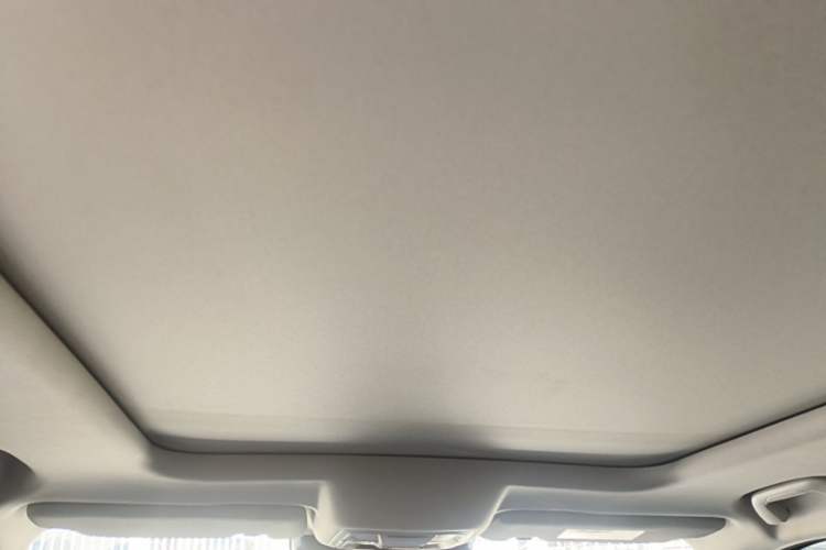 Used Haval DARGO 2021 1.5T DCT Two-Wheel Drive "Wangcai" Edition Headliner