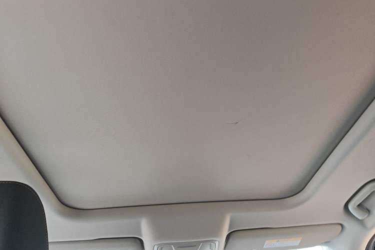 Used Haval DARGO 2021 1.5T DCT Two-Wheel Drive Labrador Edition Headliner