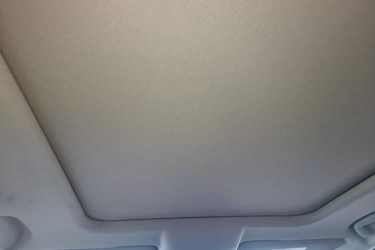 Used Haval DARGO 2021 1.5T DCT Two-Wheel Drive Border Collie Edition Headliner
