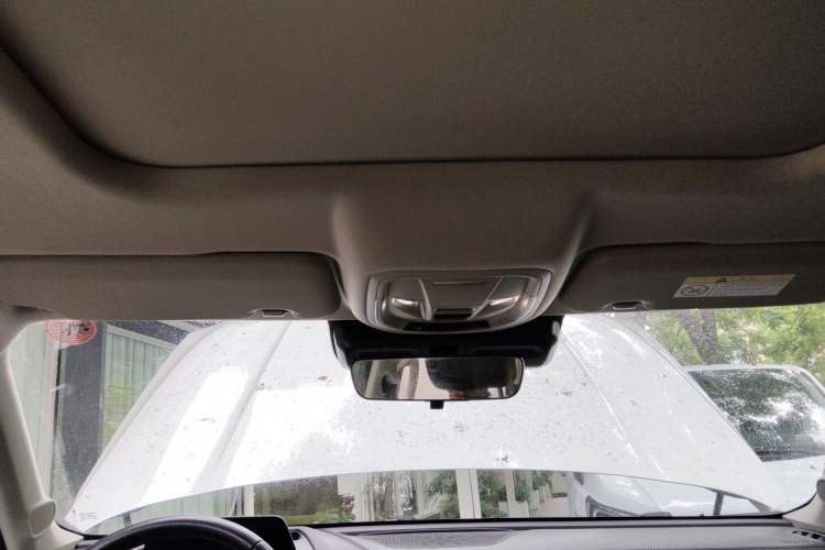 Used Haval DARGO 2021 1.5T DCT Two-Wheel Drive Labrador Edition Headliner