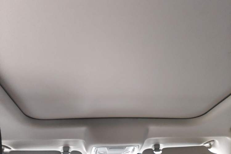 Used Haval DARGO 2021 1.5T DCT Two-Wheel Drive Border Collie Edition Headliner
