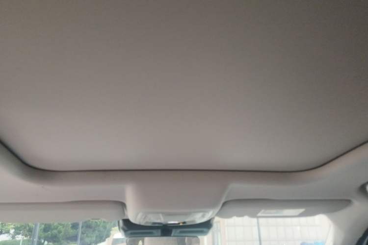 Used Haval DARGO 2021 2.0T DCT 4x4 Chinese Rural Dog Edition Headliner
