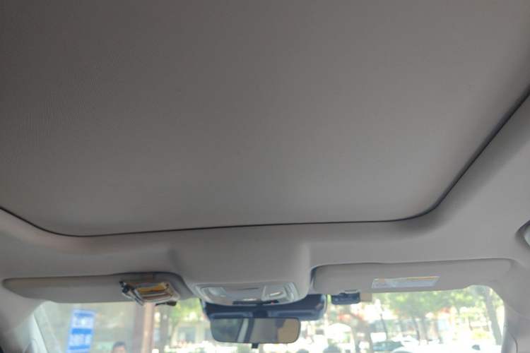 Used Haval DARGO 2021 1.5T DCT Two-Wheel Drive Border Collie Edition Headliner