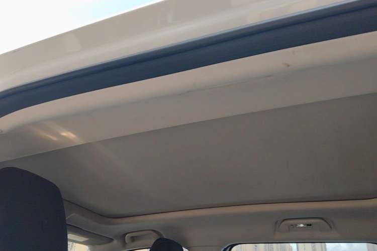 Used Haval DARGO 2021 2.0T DCT 4x4 Chinese Rural Dog Edition Headliner