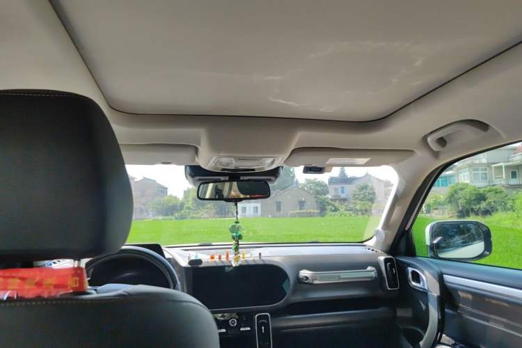 Used Haval DARGO 2021 1.5T DCT Two-Wheel Drive "Wangcai" Edition Headliner