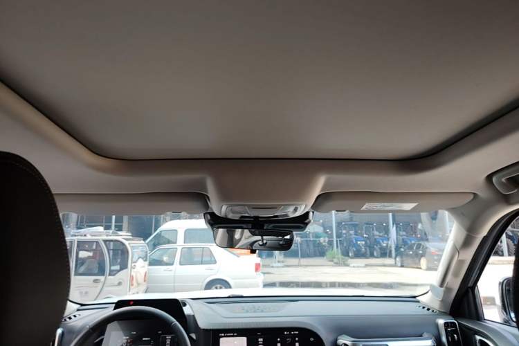 Used Haval DARGO 2021 1.5T DCT Two-Wheel Drive Border Collie Edition Headliner