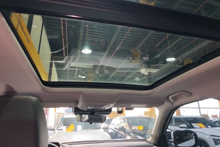 Used Haval DARGO 2021 1.5T DCT Two-Wheel Drive Labrador Edition Headliner