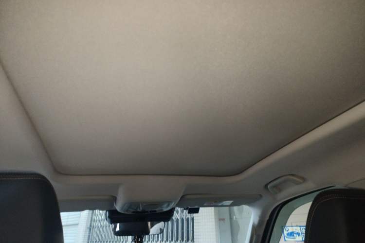 Used Haval DARGO 2021 2.0T DCT 4x4 Chinese Rural Dog Edition Headliner
