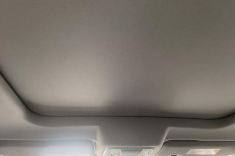 Used Haval DARGO 2021 1.5T DCT Two-Wheel Drive Border Collie Edition Headliner