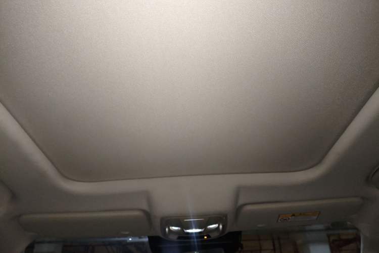 Used Haval DARGO 2021 2.0T DCT 4x4 Chinese Rural Dog Edition Headliner