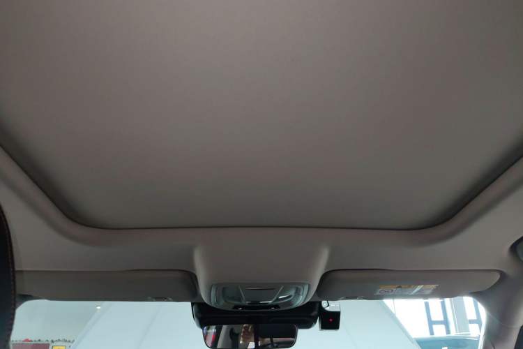 Used Haval DARGO 2021 2.0T DCT 4x4 Chinese Rural Dog Edition Headliner