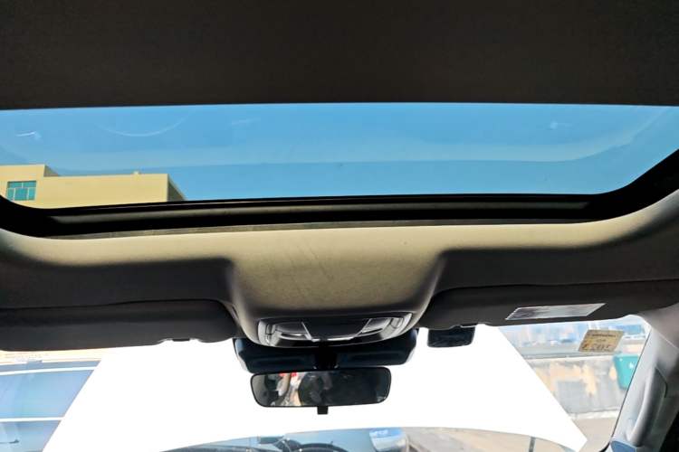 Used Haval DARGO 2021 2.0T DCT 4x4 Chinese Rural Dog Edition Headliner