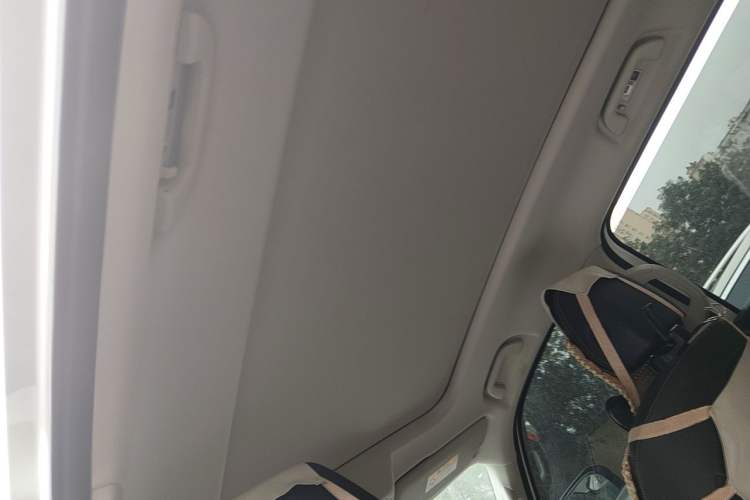 Used Haval DARGO 2021 2.0T DCT Two-Wheel Drive Chinese Mastiff Edition Headliner