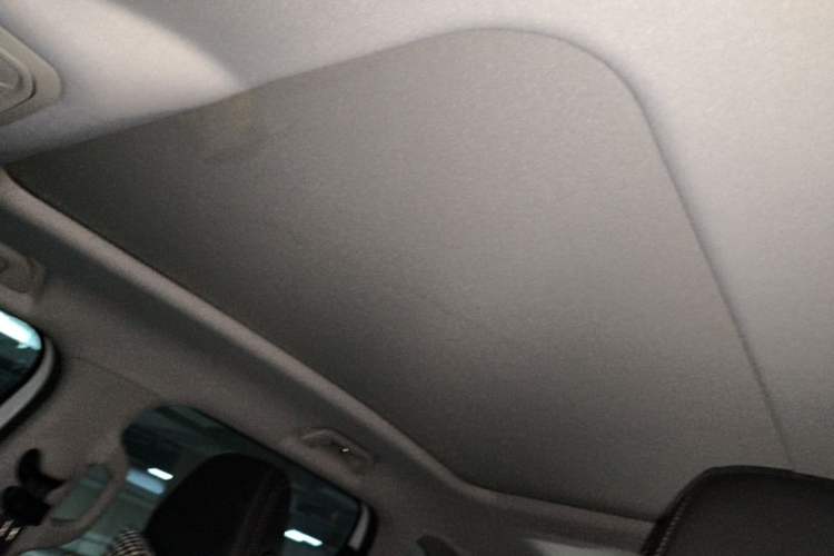 Used Haval DARGO 2021 1.5T DCT Two-Wheel Drive "Mǎquǎn" Edition Headliner