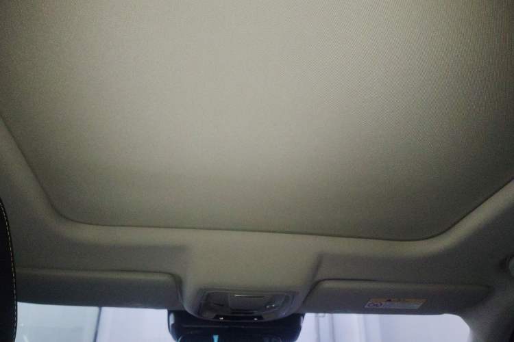 Used Haval DARGO 2021 Revised Version 2.0T DCT Four-Wheel Drive "Hao Tian Que" Edition Headliner