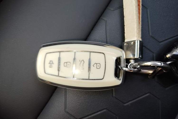 Used Haval DARGO 2021 1.5T DCT Two-Wheel Drive Border Collie Edition Interior 1