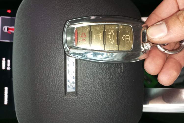Used Haval DARGO 2021 1.5T DCT Two-Wheel Drive Border Collie Edition Interior 1
