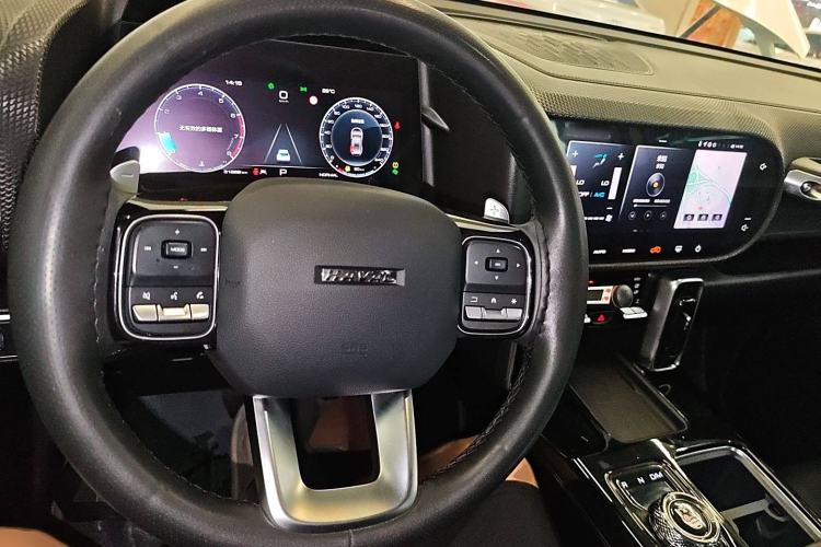 Used Haval DARGO 2021 2.0T DCT 4x4 Chinese Rural Dog Edition Interior 2