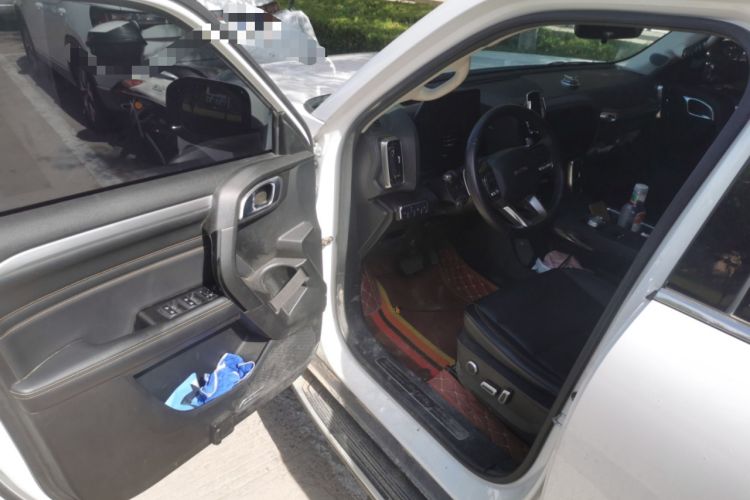 Used Haval DARGO 2021 2.0T DCT 4x4 Chinese Rural Dog Edition Interior 3