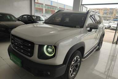 Used Haval DARGO 2021 2.0T DCT 4x4 Chinese Rural Dog Edition