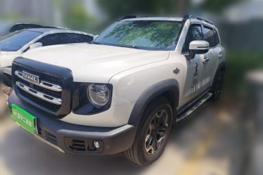 Used Haval DARGO 2021 2.0T DCT 4x4 Chinese Rural Dog Edition