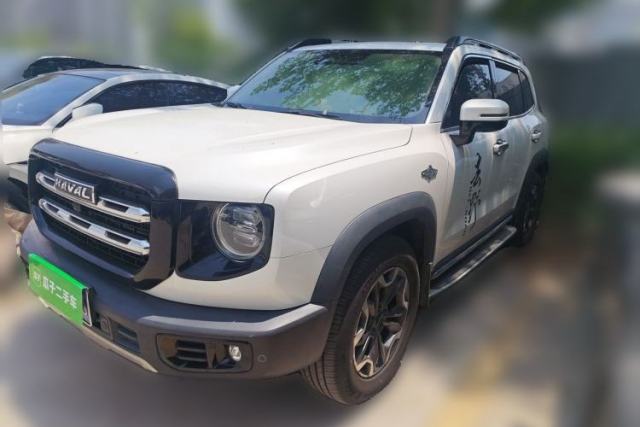 Used Haval DARGO 2021 2.0T DCT 4x4 Chinese Rural Dog Edition