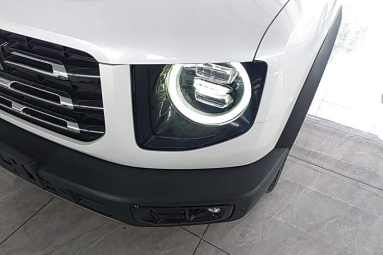 Used Haval DARGO 2021 2.0T DCT 4x4 Chinese Rural Dog Edition Left Front Headlight