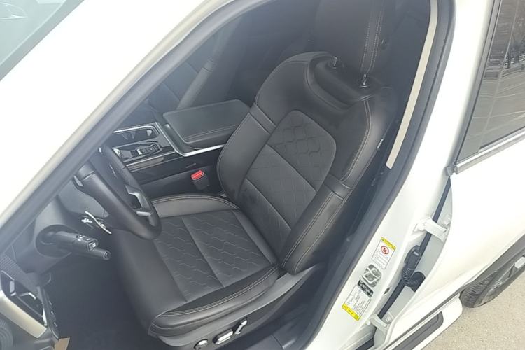 Used Haval DARGO 2021 2.0T DCT 4x4 Chinese Rural Dog Edition Left Front Seat