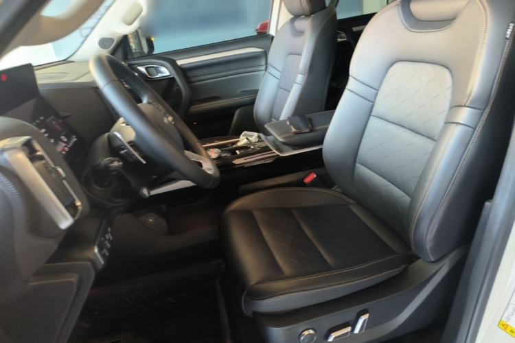 Used Haval DARGO 2021 1.5T DCT Two-Wheel Drive "Mǎquǎn" Edition Left Front Seat