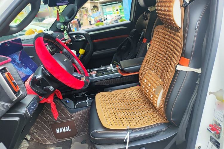 Used Haval DARGO 2021 2.0T DCT 4x4 Chinese Rural Dog Edition Left Front Seat