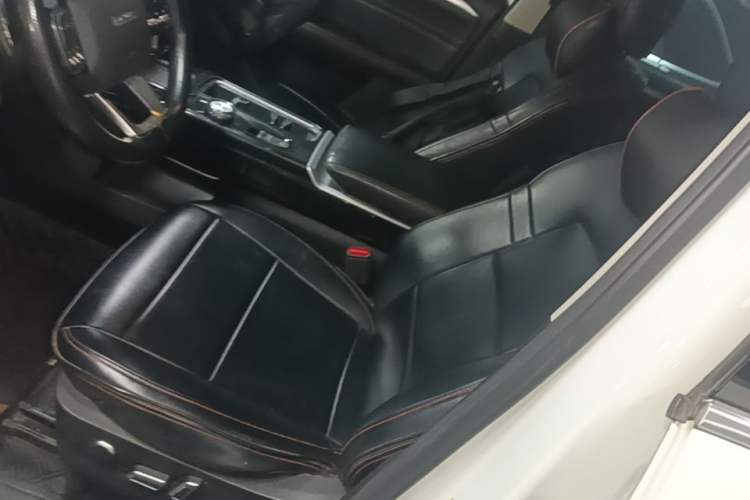 Used Haval DARGO 2021 2.0T DCT 4x4 Chinese Rural Dog Edition Left Front Seat
