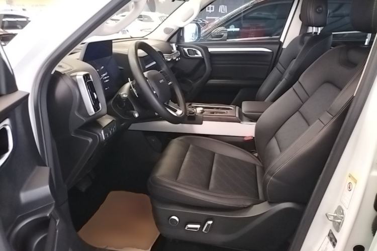 Used Haval DARGO 2021 2.0T DCT 4x4 Chinese Rural Dog Edition Left Front Seat
