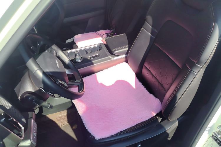Used Haval DARGO 2021 1.5T DCT Two-Wheel Drive Labrador Edition Left Front Seat