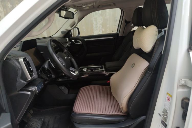 Used Haval DARGO 2021 1.5T DCT Two-Wheel Drive "Mǎquǎn" Edition Left Front Seat