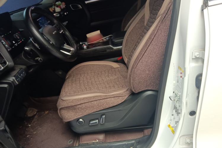 Used Haval DARGO 2021 1.5T DCT Two-Wheel Drive Border Collie Edition Left Front Seat