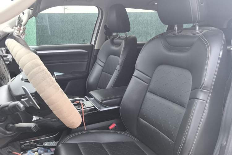 Used Haval DARGO 2021 2.0T DCT 4x4 Chinese Rural Dog Edition Left Front Seat