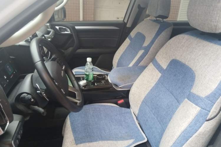 Used Haval DARGO 2021 2.0T DCT 4x4 Chinese Rural Dog Edition Left Front Seat