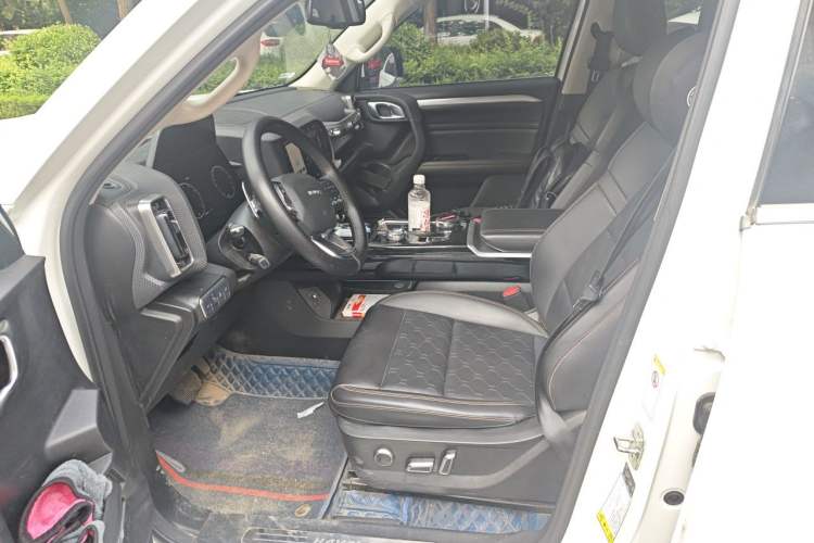 Used Haval DARGO 2021 1.5T DCT Two-Wheel Drive "Mǎquǎn" Edition Left Front Seat